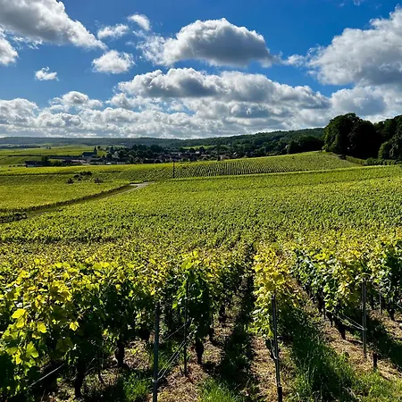 Au Charme De Rilly-la-Montagne
